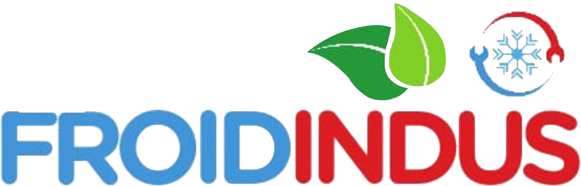 Froidindus 